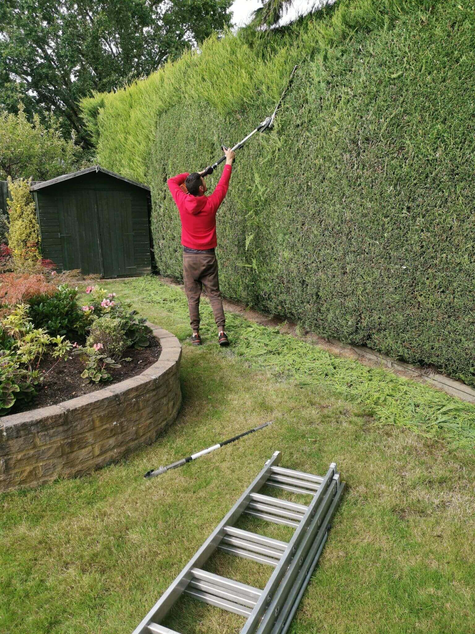 Best Gardening & Landscaping - Woking - Surrey