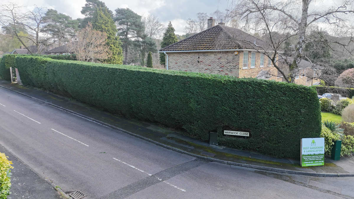 Hedge Trimming Services