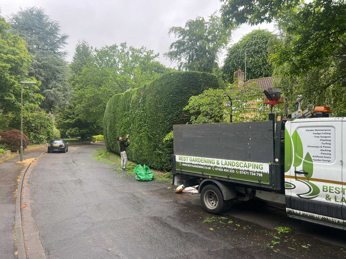 Hedge Trimming Services