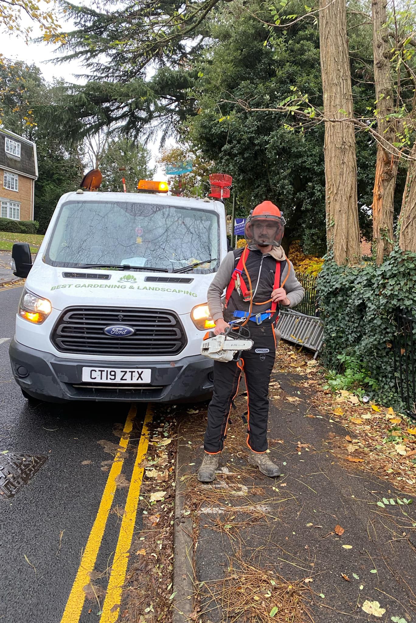 Tree Surgeon