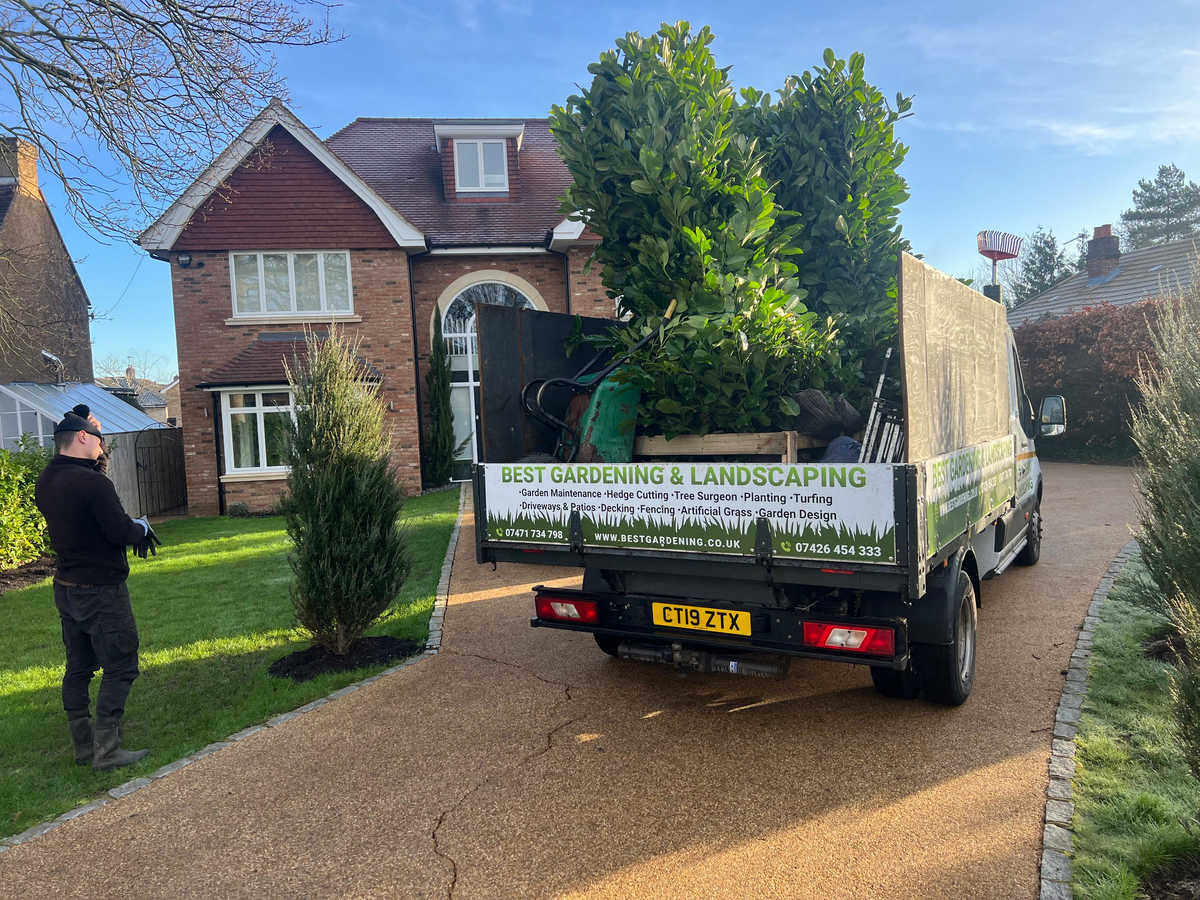 Tree Surgeon Services