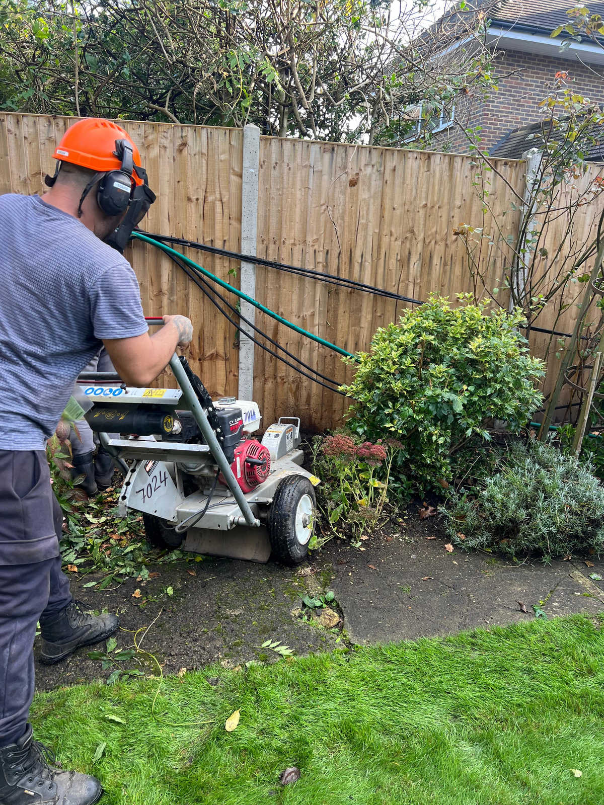 Tree Surgeon Services