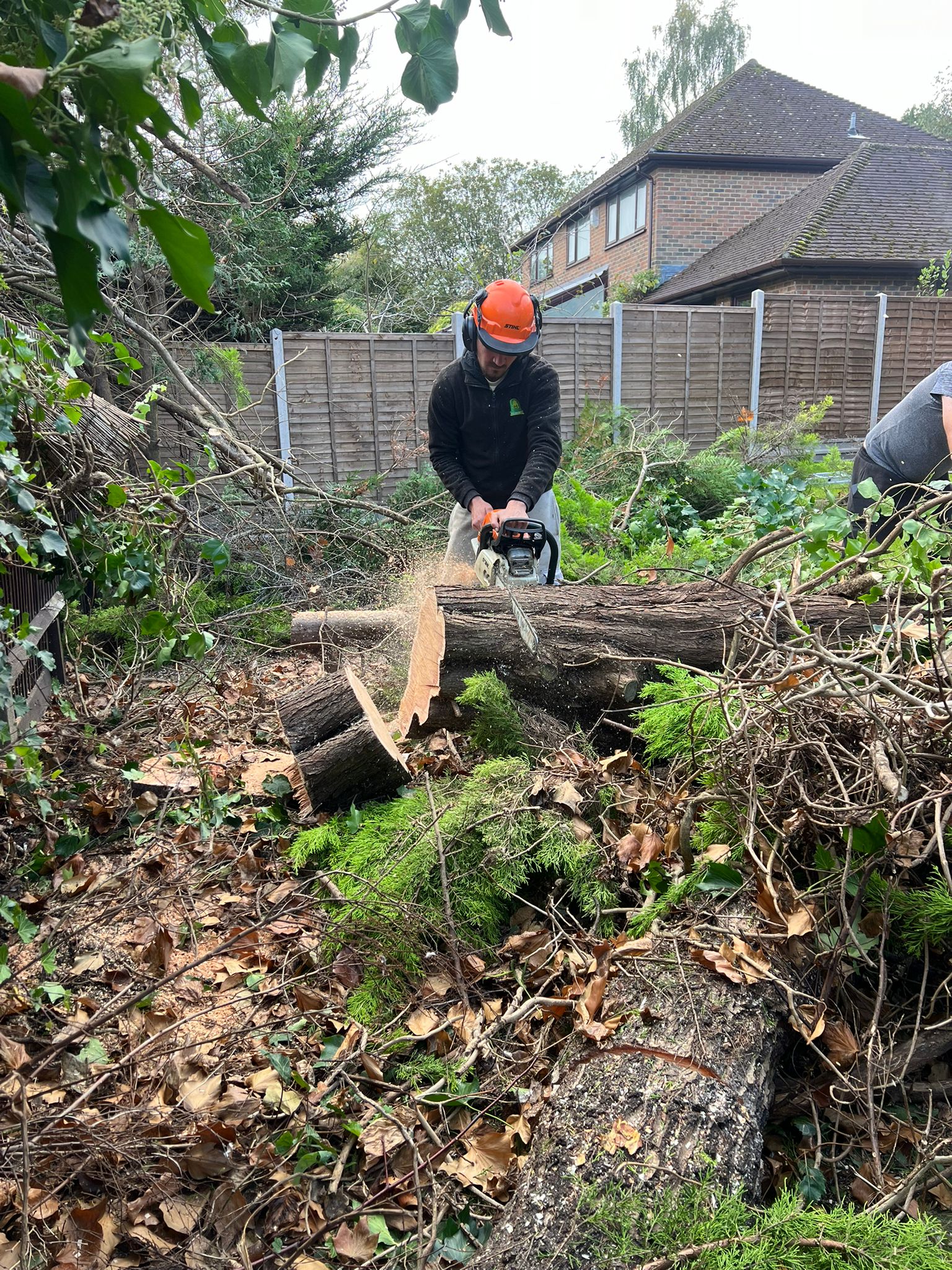 Tree Surgeon Services