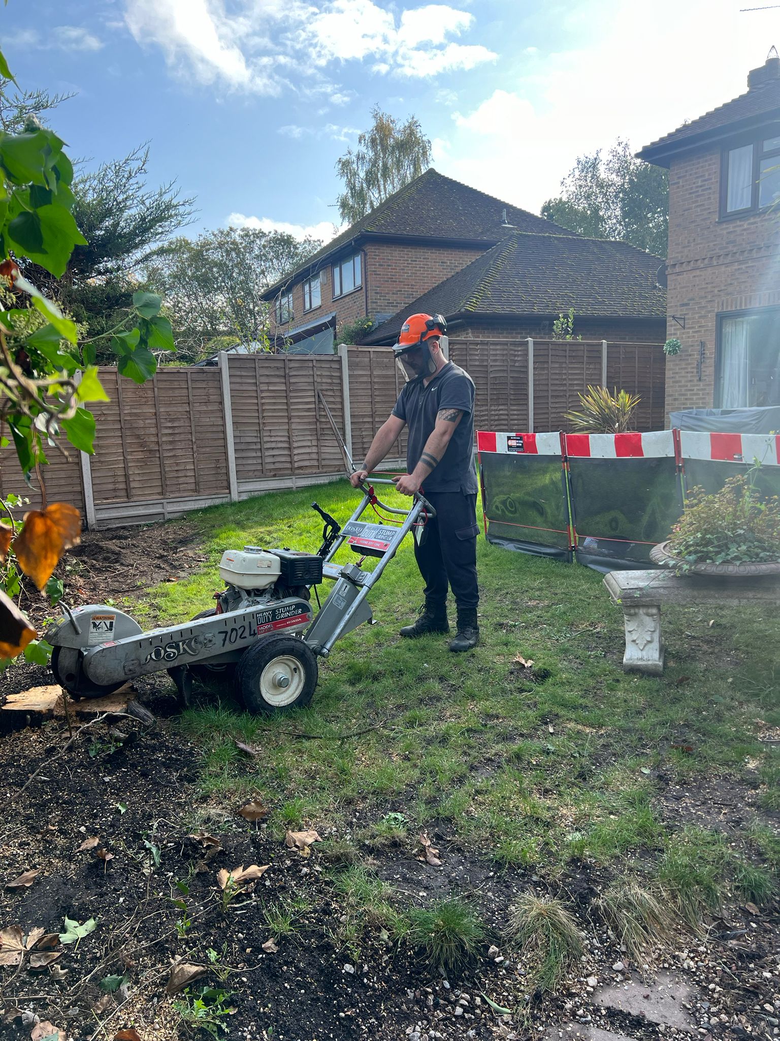 Tree Surgeon Services