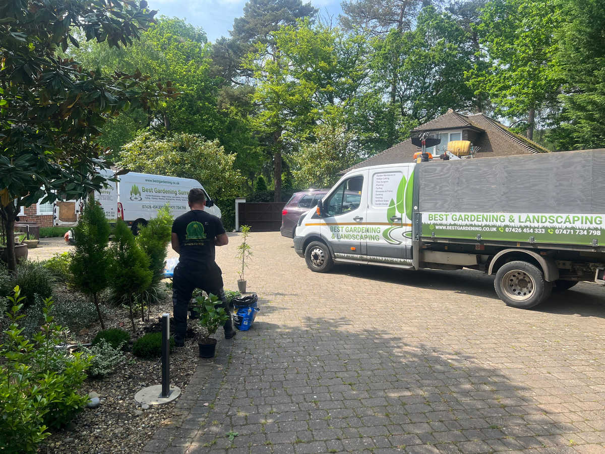 Tree Surgeon Services