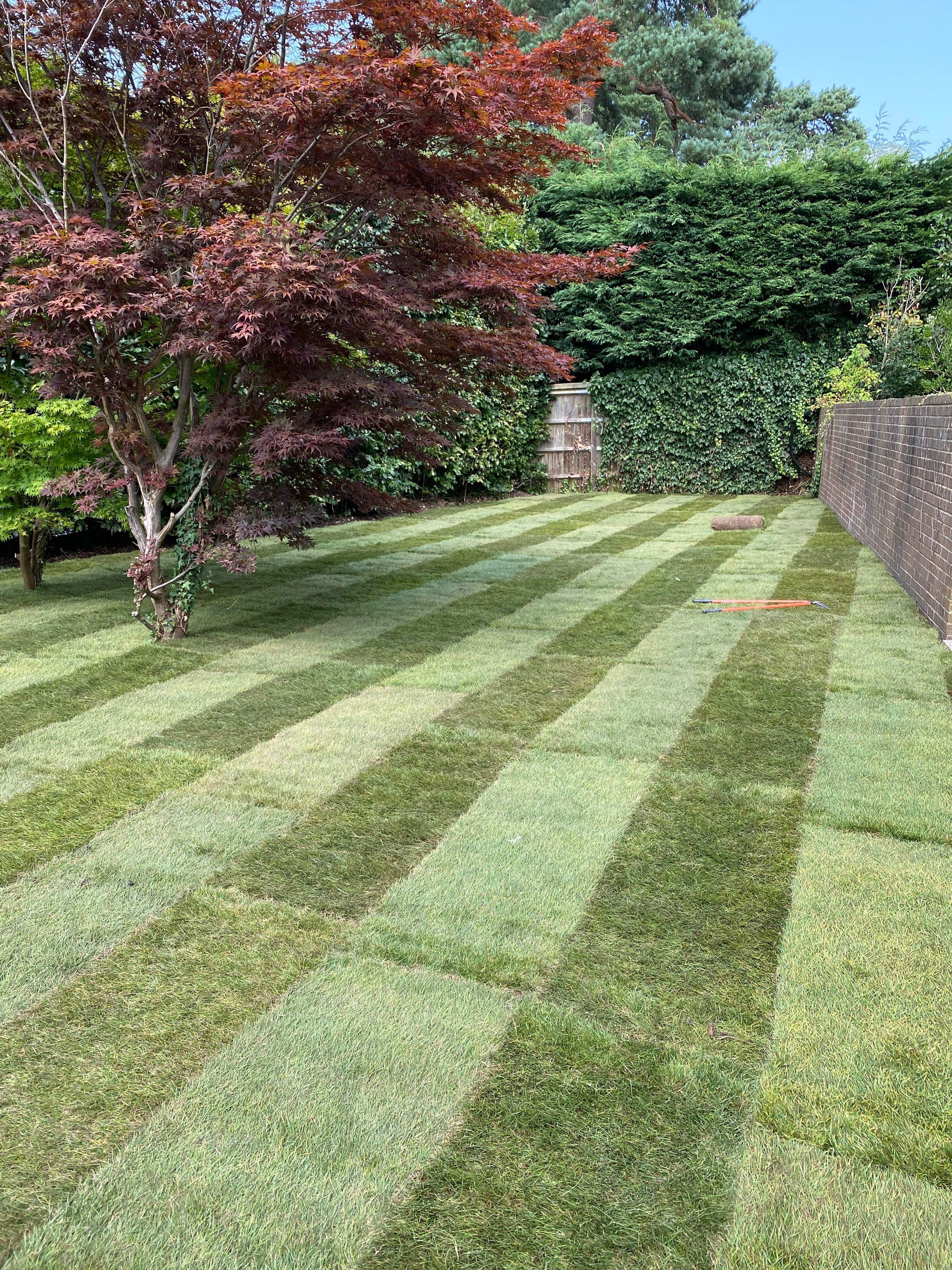 Turfing Services